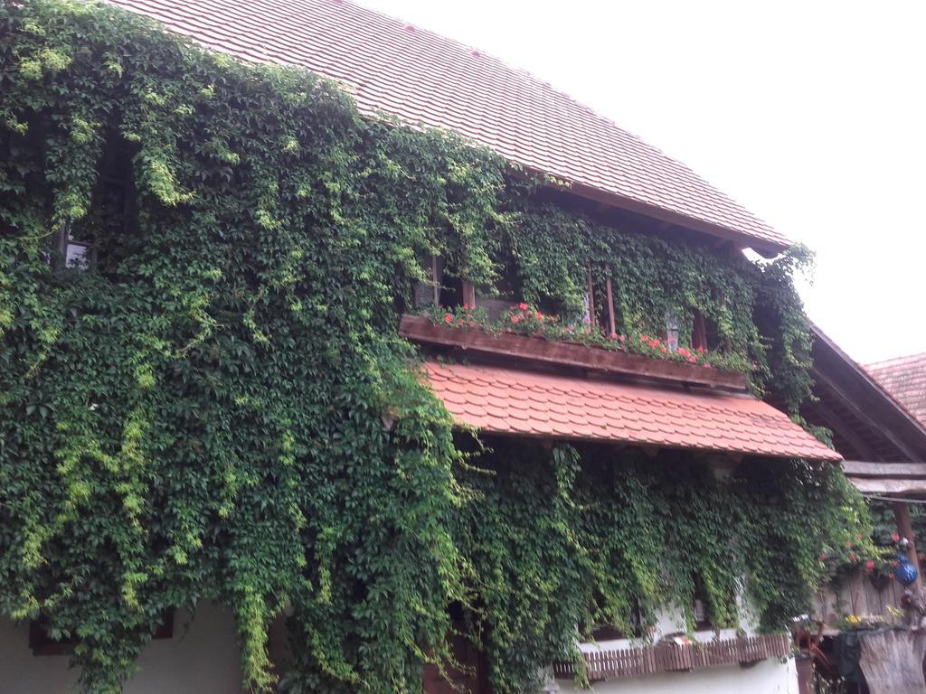 Rural Tourism Family Ravlic Guest House Muzilovcica Exterior photo